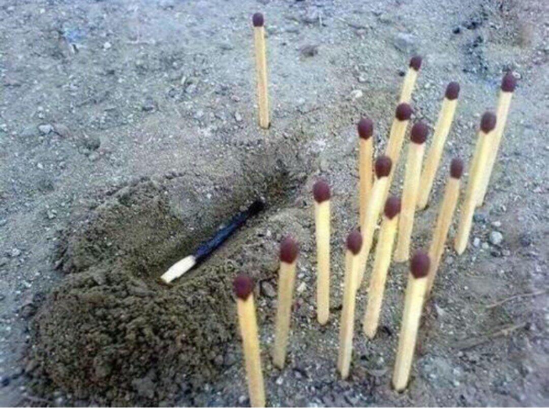 The basic principles of organising civil society communit...