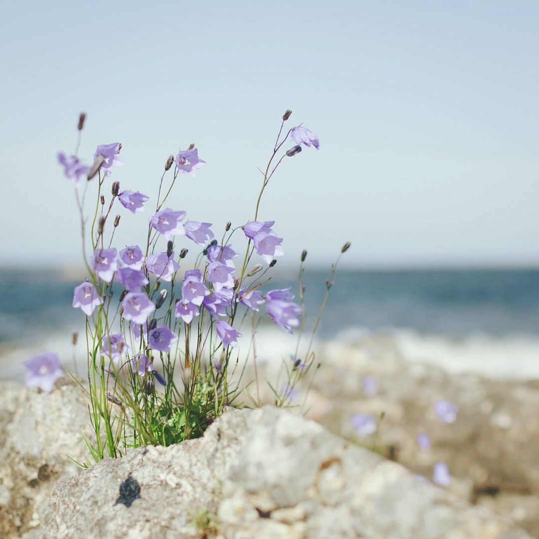 School Teaches Socialisation