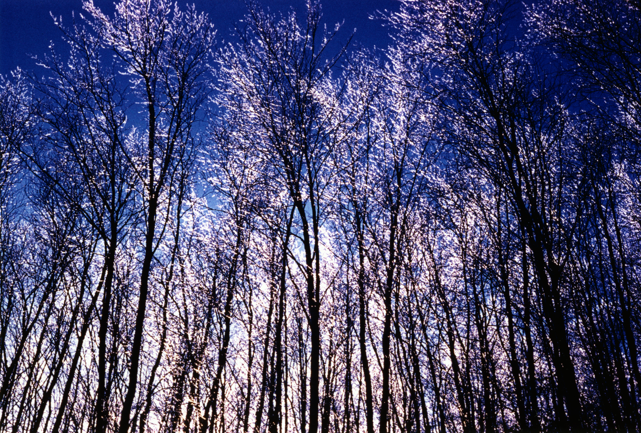 Heart on Lock Book Cover