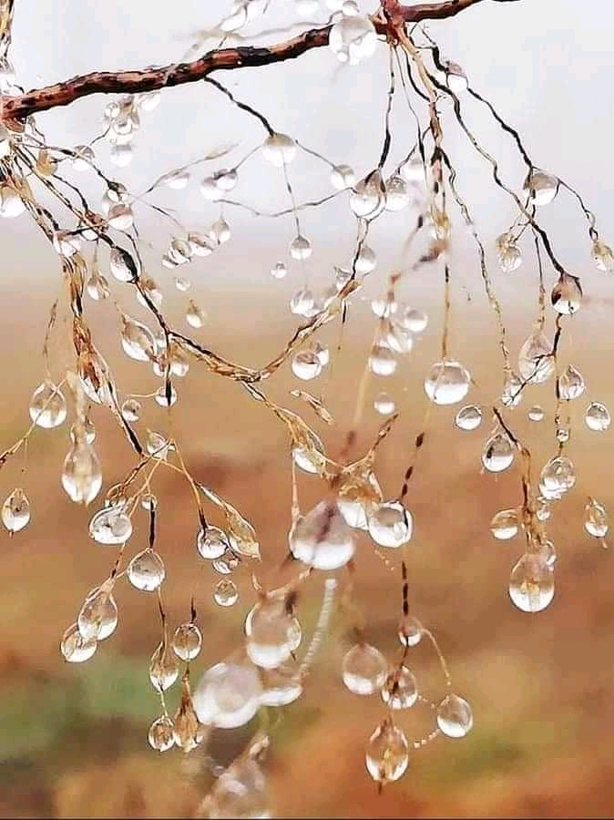 The Earth - The Whole World